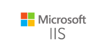 Logo for Services page. 300px Microsoft ISS.