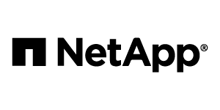 Logo for Services page. 300px NetApp.